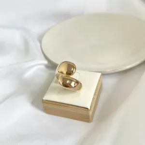 ANEL AJUSTÁVEL FORMATO ORGÂNICO