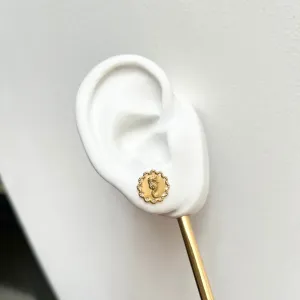 BRINCO CAVALO MARINHO COM MOLDURA