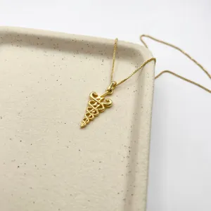 COLAR PROFISSÃO SIMPLES FISIOTERAPIA