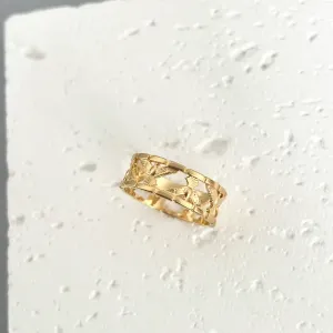 ANEL DIVINOS ESPIRÍTOS SANTOS