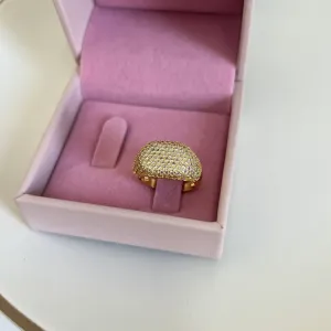 ANEL MICRO ZIRCONIAS