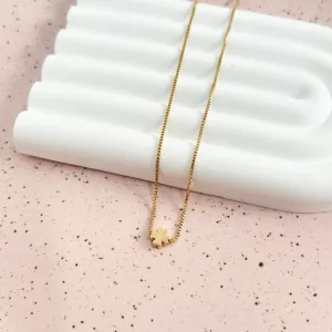 COLAR GARGANTILHA VENEZIANA COM TREVO 40CM