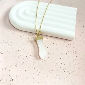 COLAR PINGENTE FIGA DE ACRÍLICO