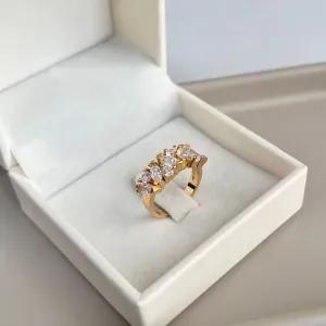 ANEL NAVETES E PONTO DE LUZ