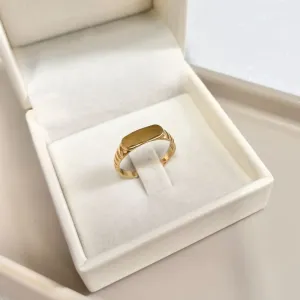 ANEL PLACA GRAVAÇÃO