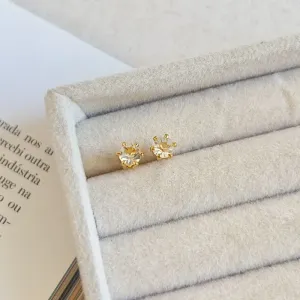 BRINCO PONTO DE LUZ STRASS CRISTAL 6 GARRAS ALTAS