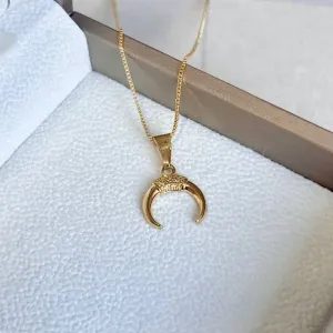 COLAR DENTE DE SABRE DUPLO