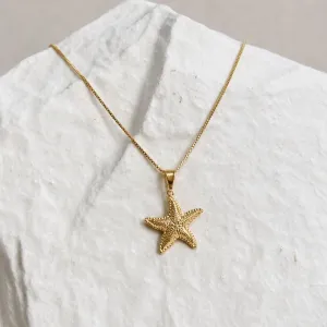COLAR ESTRELA DO MAR