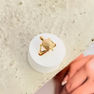 ANEL TARTARUGA