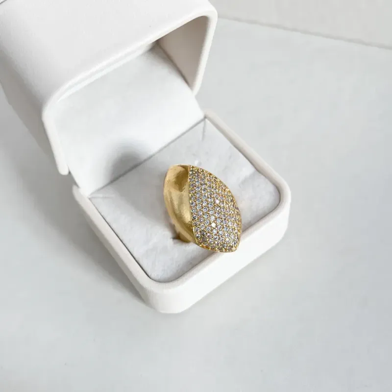 ANEL MICRO ZIRCONIAS