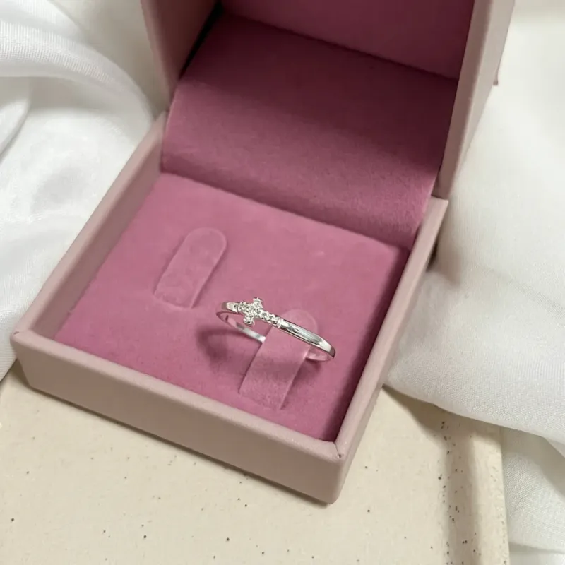 ANEL CRUZ MICRO ZIRCONIAS