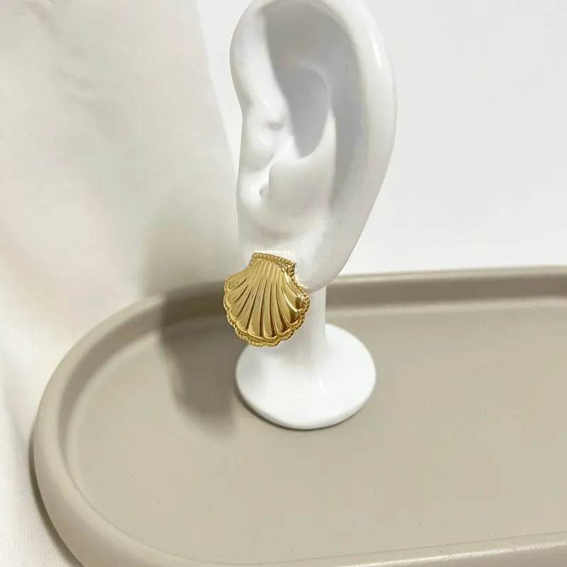 BRINCO CONCHA BRINCO CONCHA