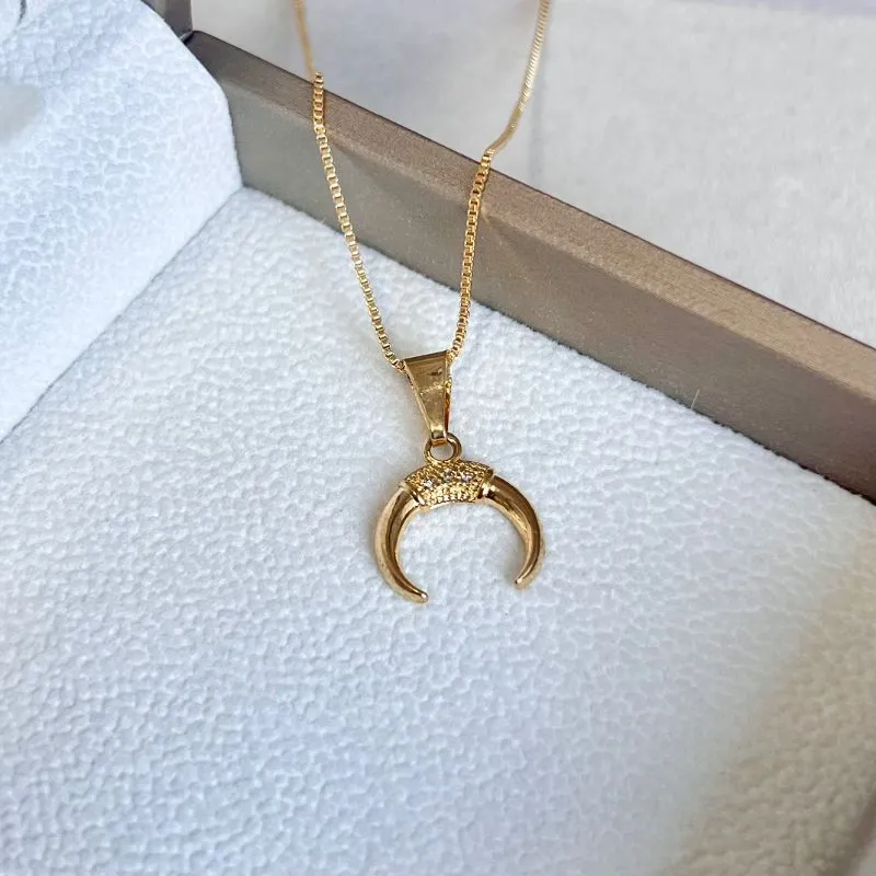 COLAR DENTE DE SABRE DUPLO